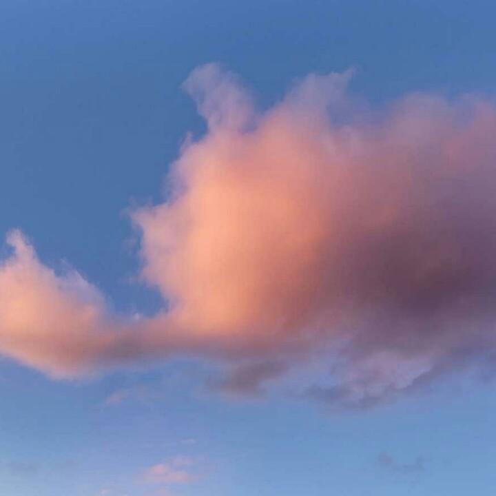 老许