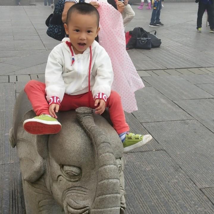 吴🍀烦🌲恼☘️