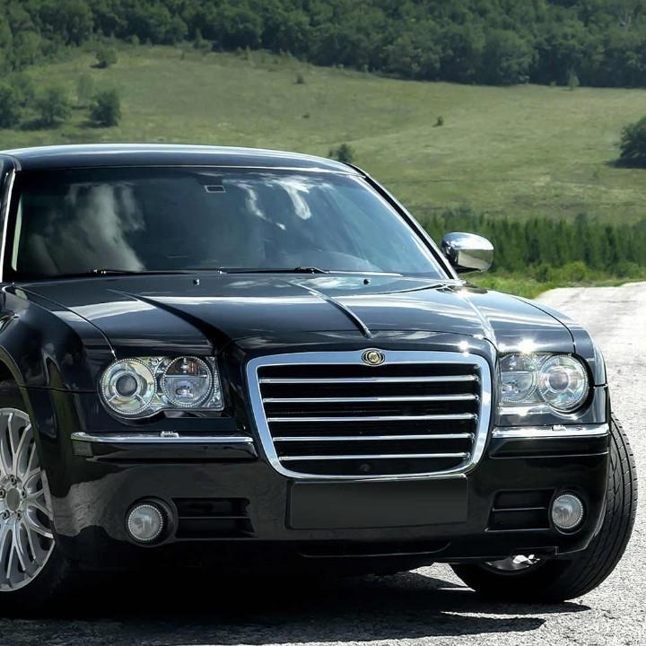 耗子扛刀～满街找猫