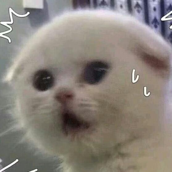 哇哈哈