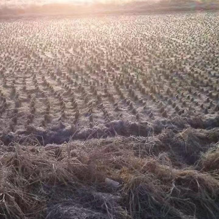 江西吉星住人集装箱