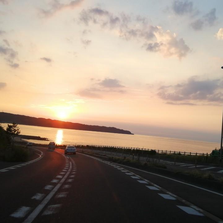 离家出走的钱包