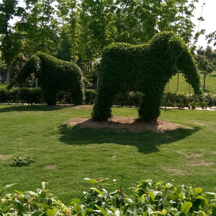李大惠0