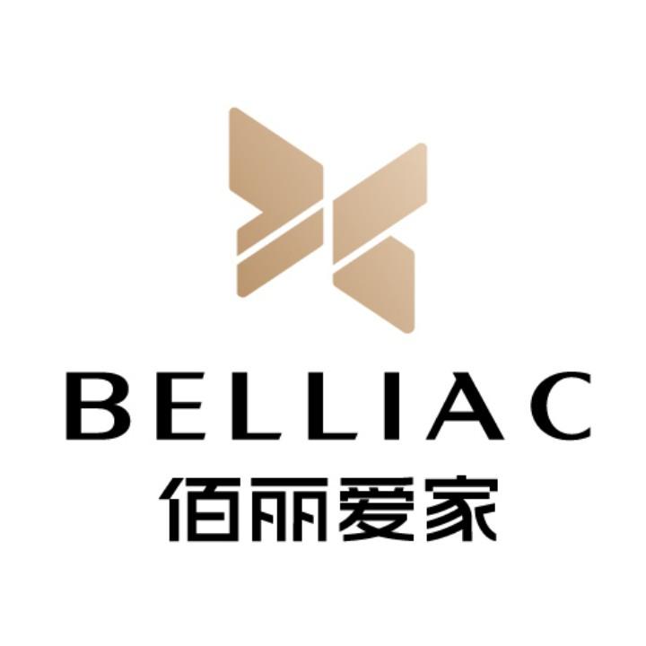 佰丽爱家整家定制
