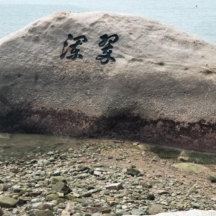 卡车&自由哥
