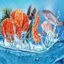 （樟树市）广东海鲜批发行