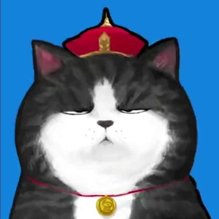 喵星人