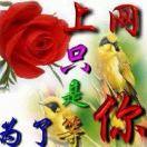 🌹🌹👫自由飞翔