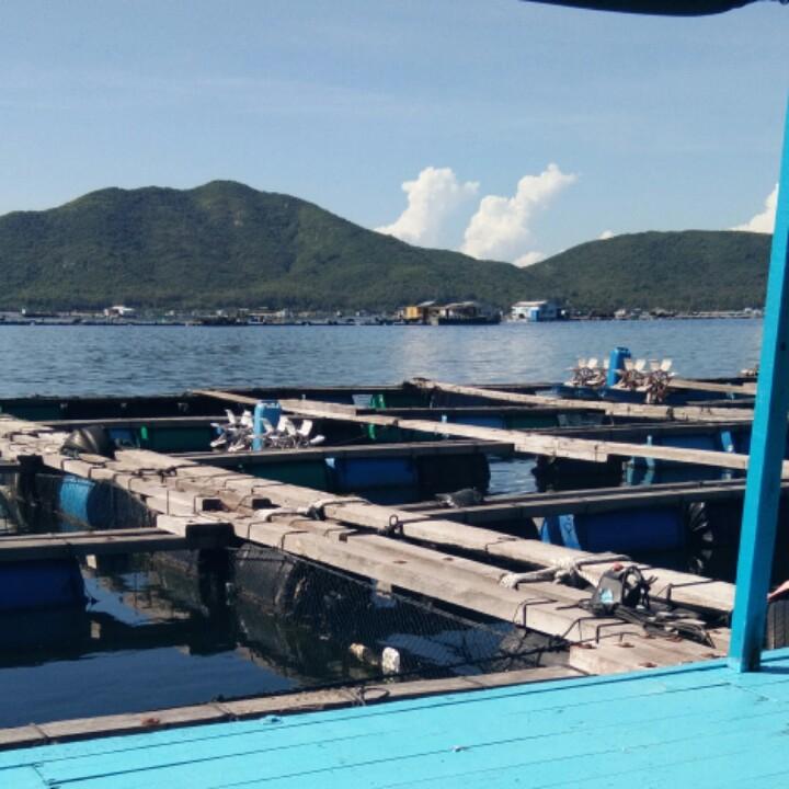 彬彬有礼