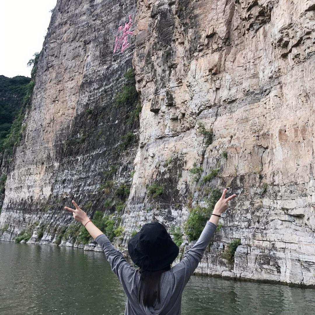 稀里糊涂311