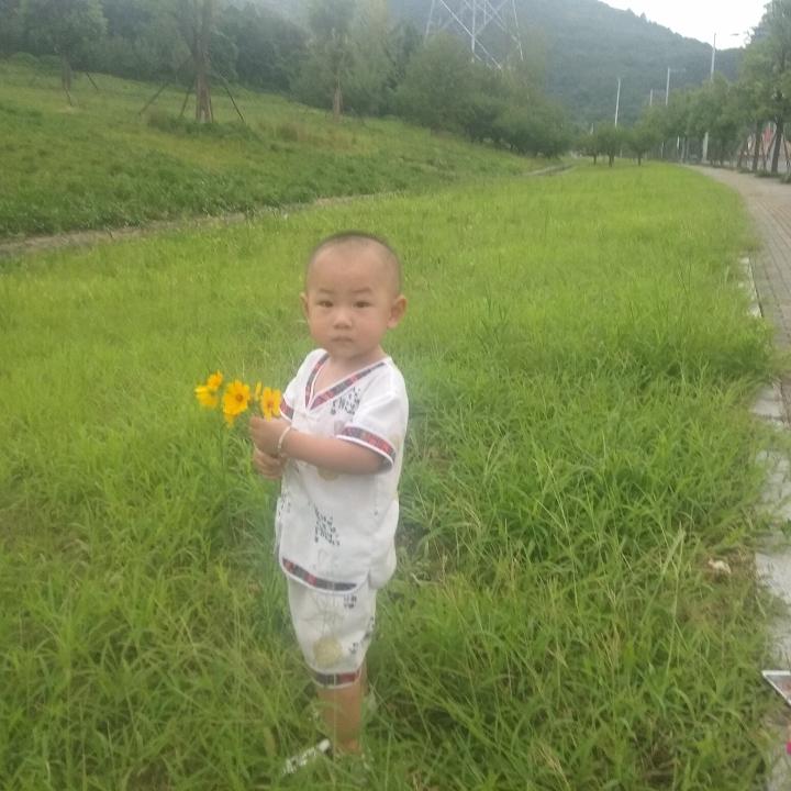 云淡风清