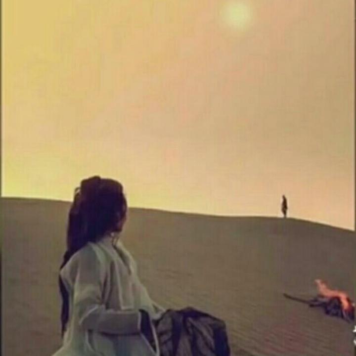 🌈冷言冷语冷感情