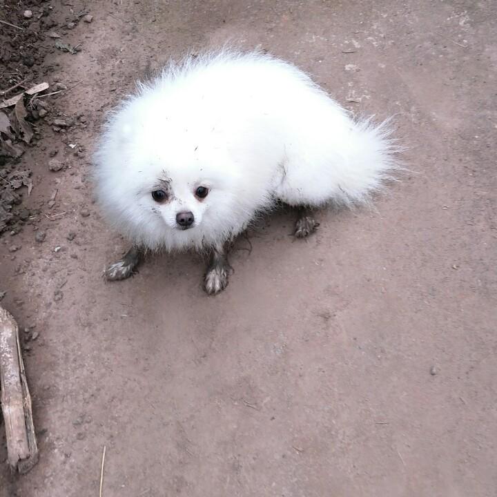 琴子✨^O^