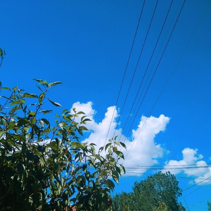 欢若平生    🍎