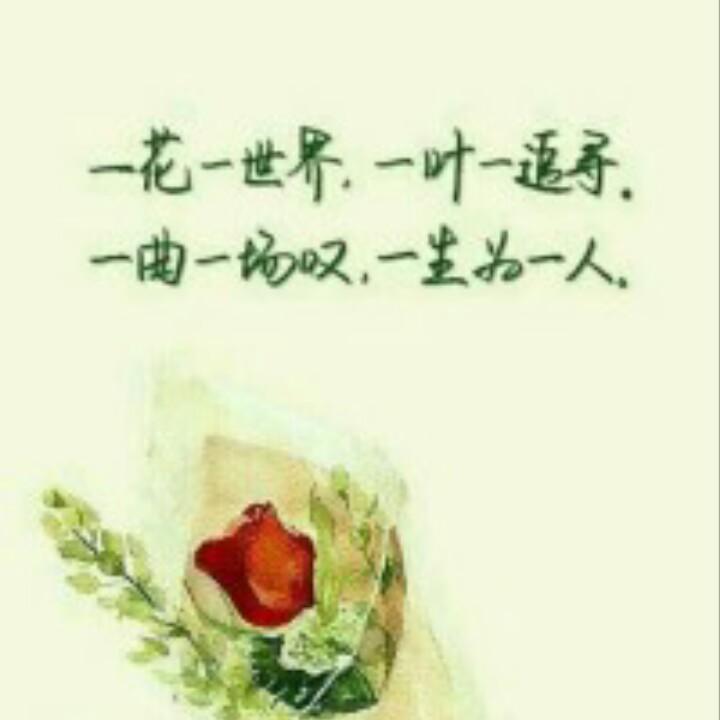 杖剑携酒修真途