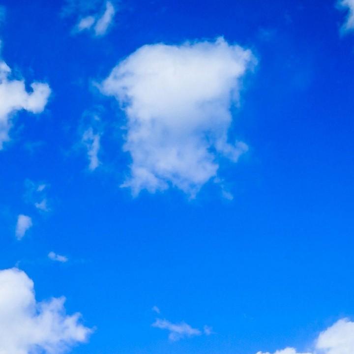 翟善而从 Zhai
