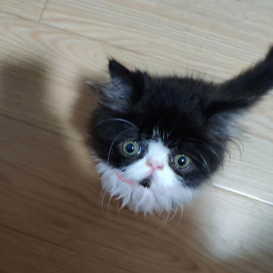 阿润