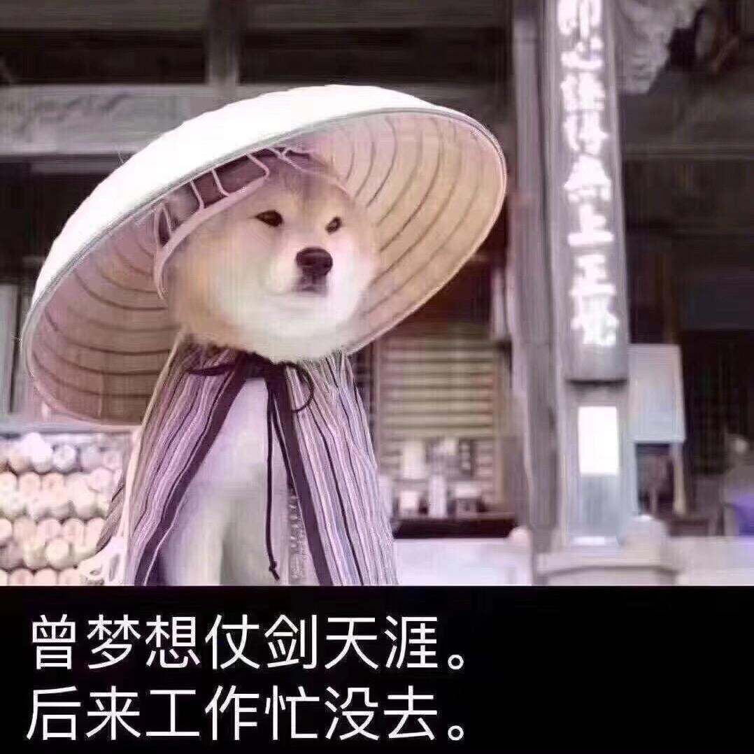 小鸟1024