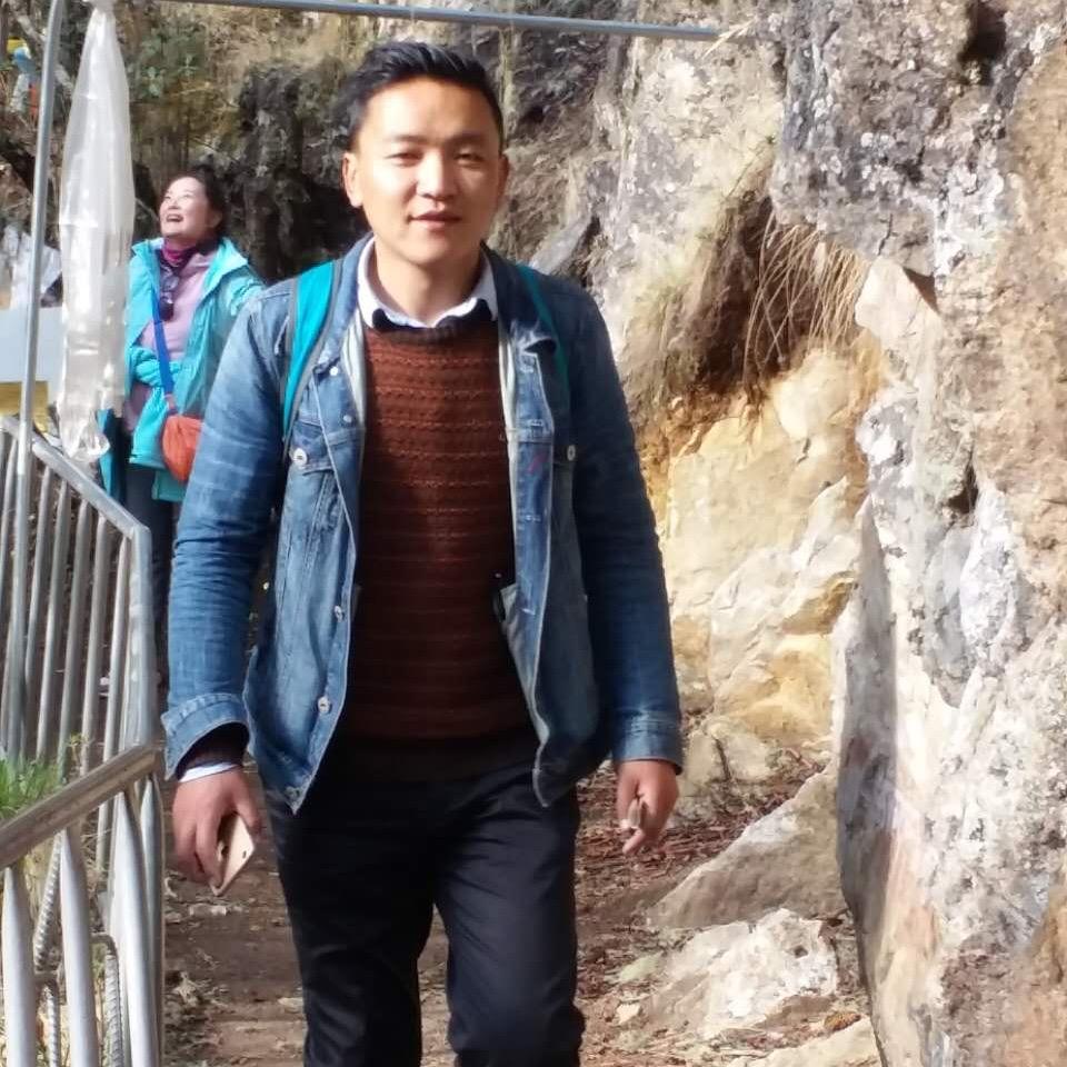地毯上的🐜