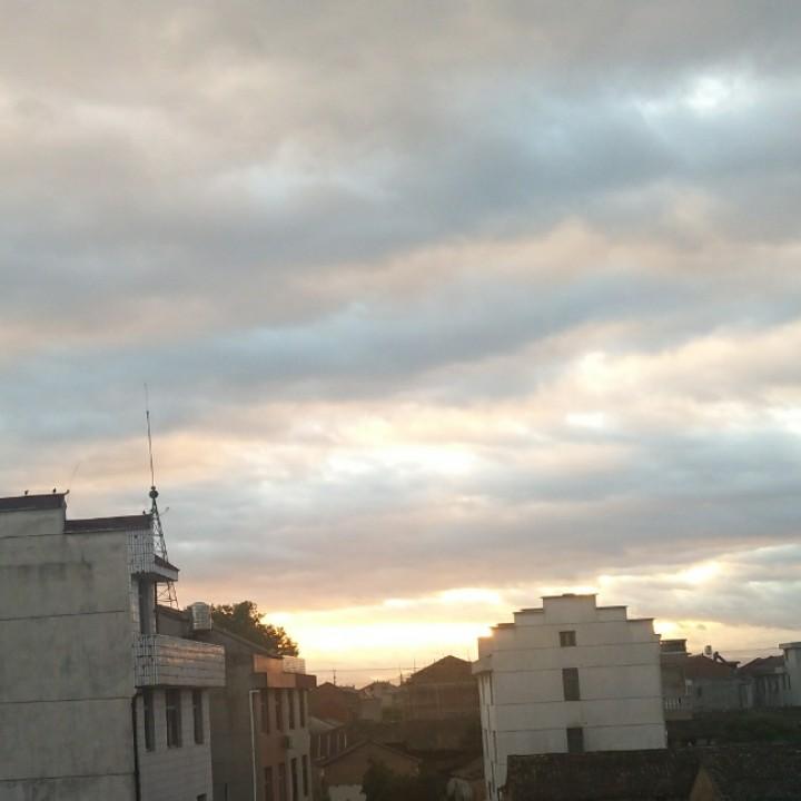 朝哥