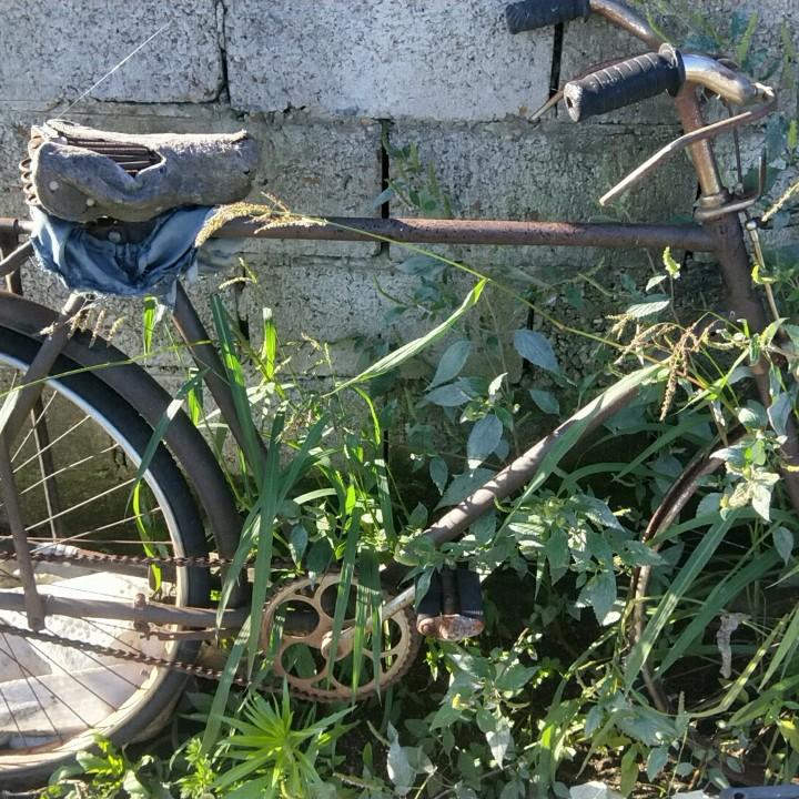 勤不一定致富