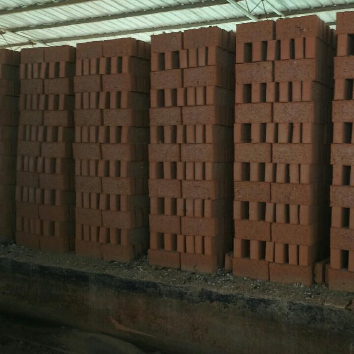 宿朝虎种植养殖基