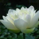 幸福就是在一起