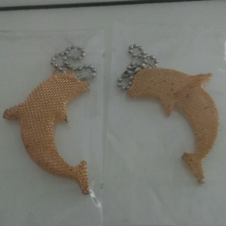 段列火龙果卢国珍