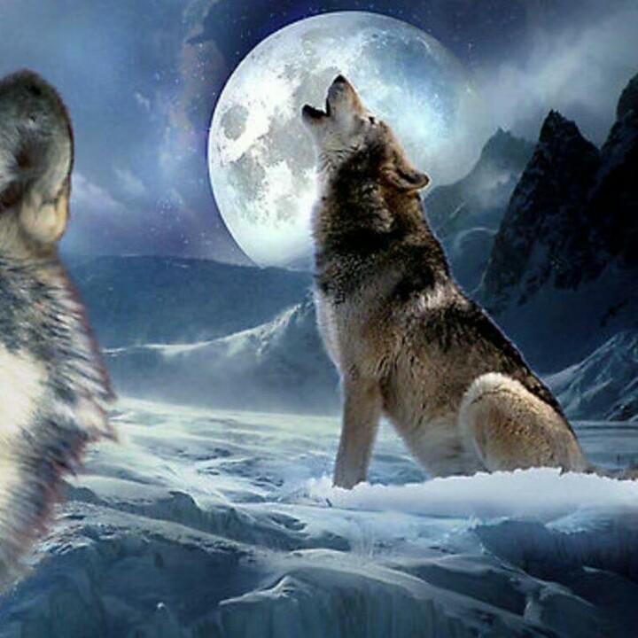 雍盛建筑（靠谱雷）