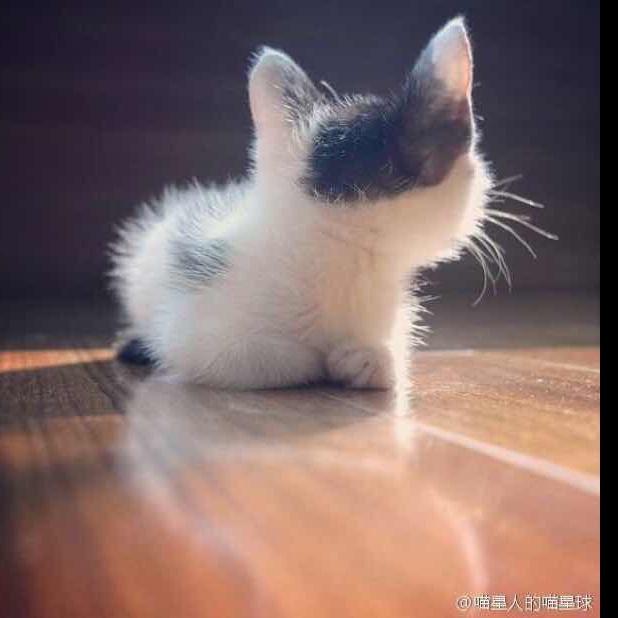 〝    仅此而已.