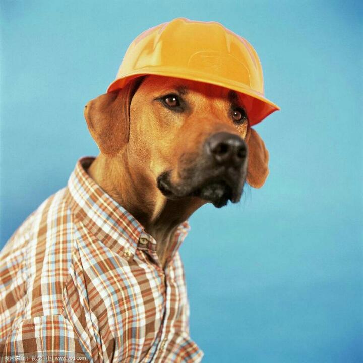 合肥出租车先锋队