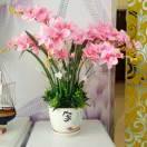 贺德春承包各种喜宴