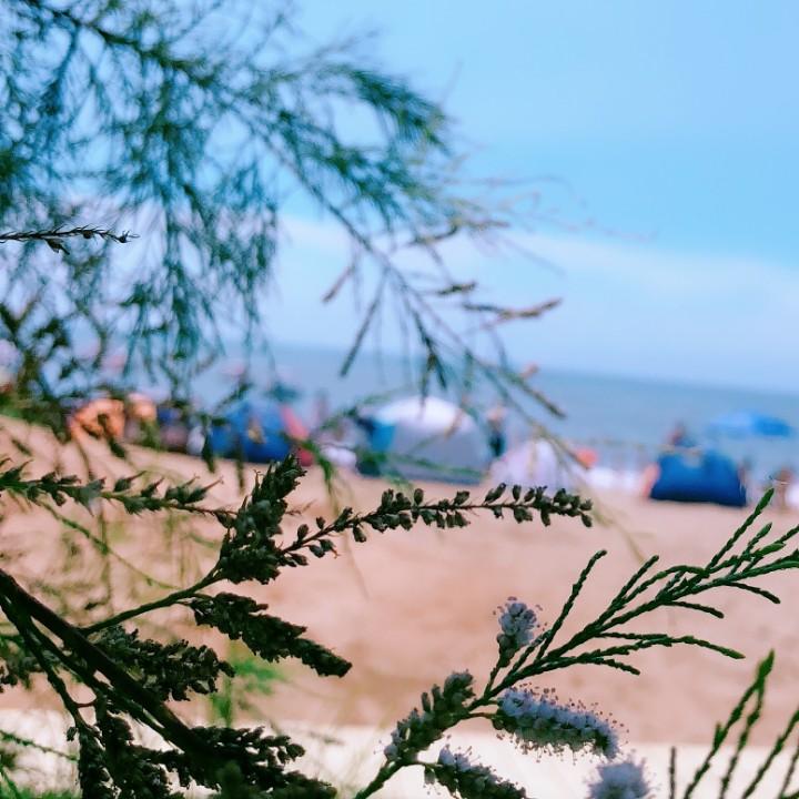 夜空下的黎明