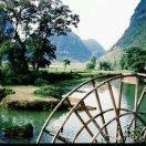 蔡蔡人信城夜市街B1号（藕粉铺子）