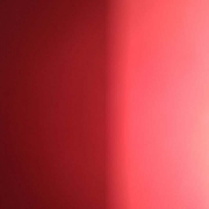 巴西博越