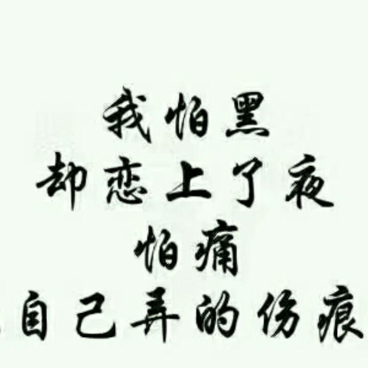 西安自建房(团队1)陕割履带收割机