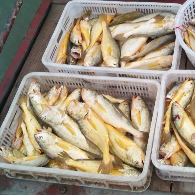 此、爷、非比寻常