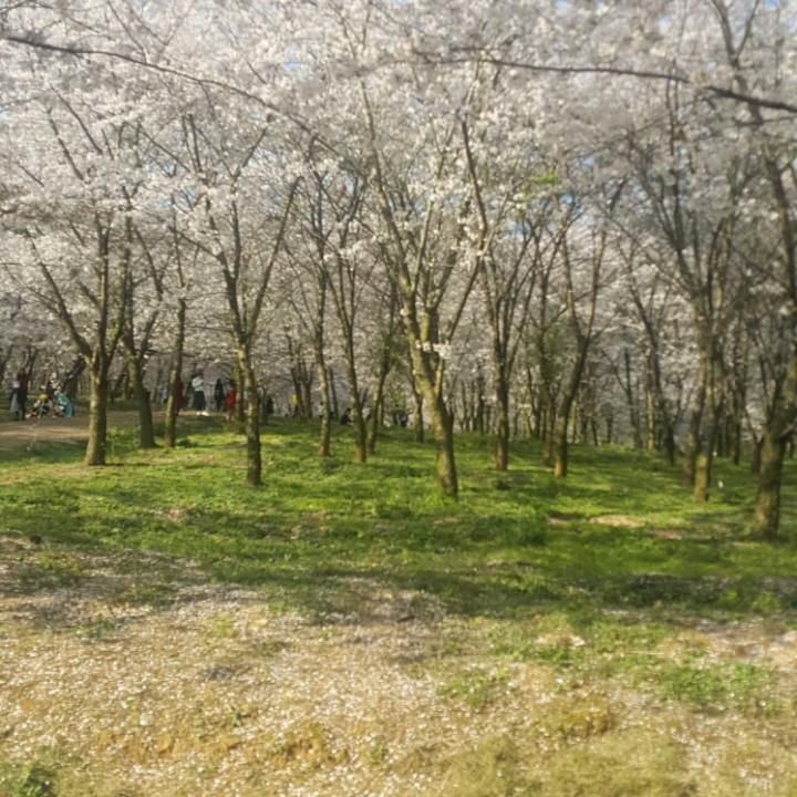岁月