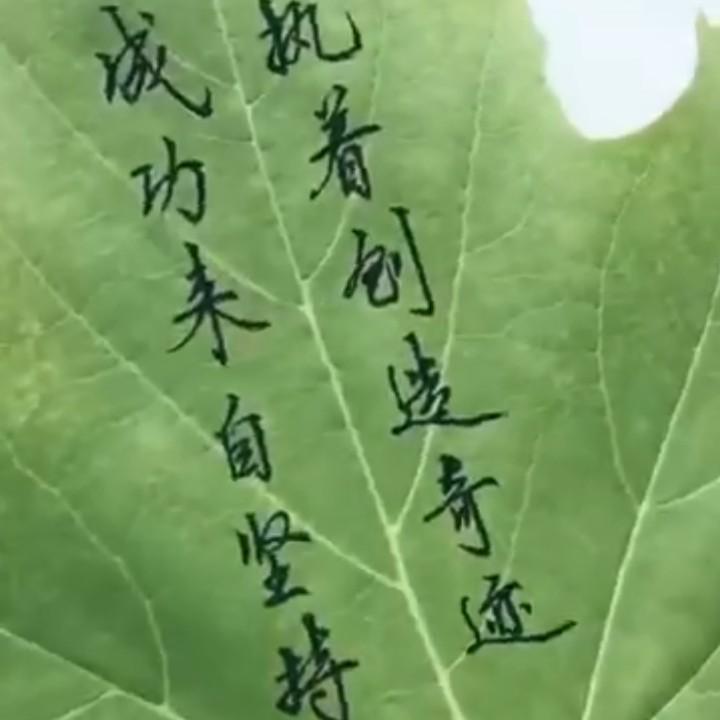 时间去那儿了
