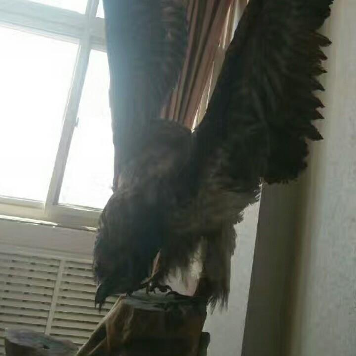 范国华.仓储：优质废钢