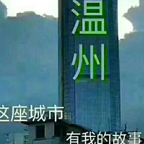 温州小刘共轨油泵，油嘴修理！订做液压油管