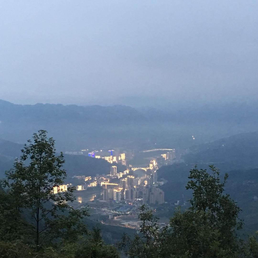 《青云志》🌻🌻🌻