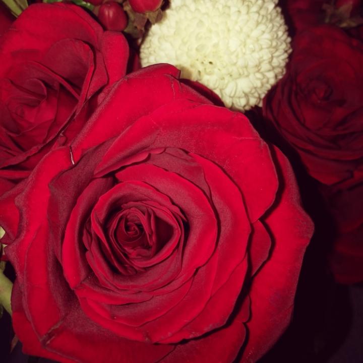 三点精炼的苏小玖