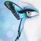 华科力达TP绑定 全贴合设备-燕姐