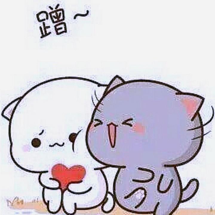 🚲合雪有缘❤🏁