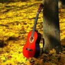 🎸 🍺 夏天穿貂