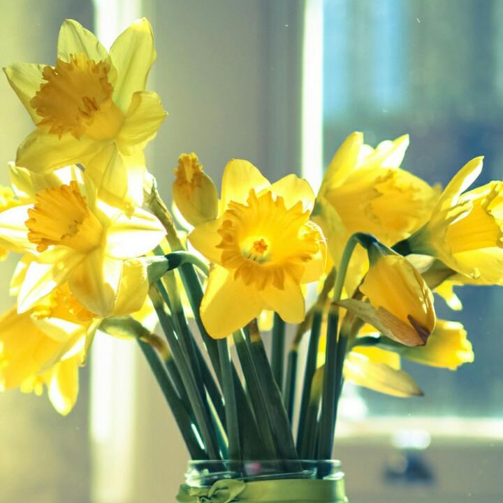 相春林用户331806