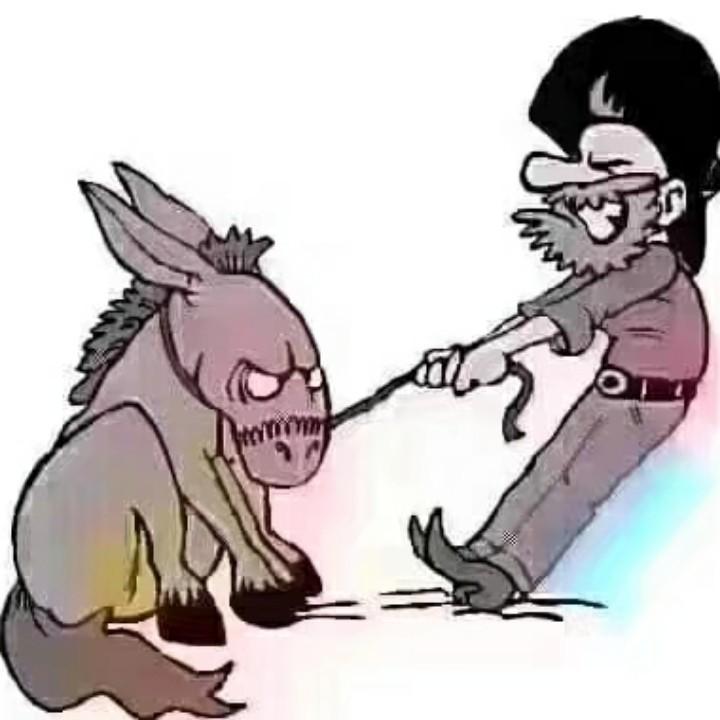 呜哇