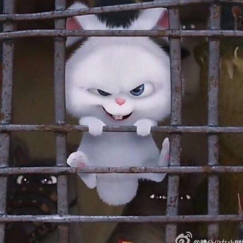 大王大王
