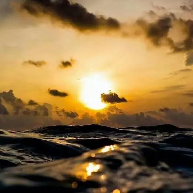 博今.草塘湾营地